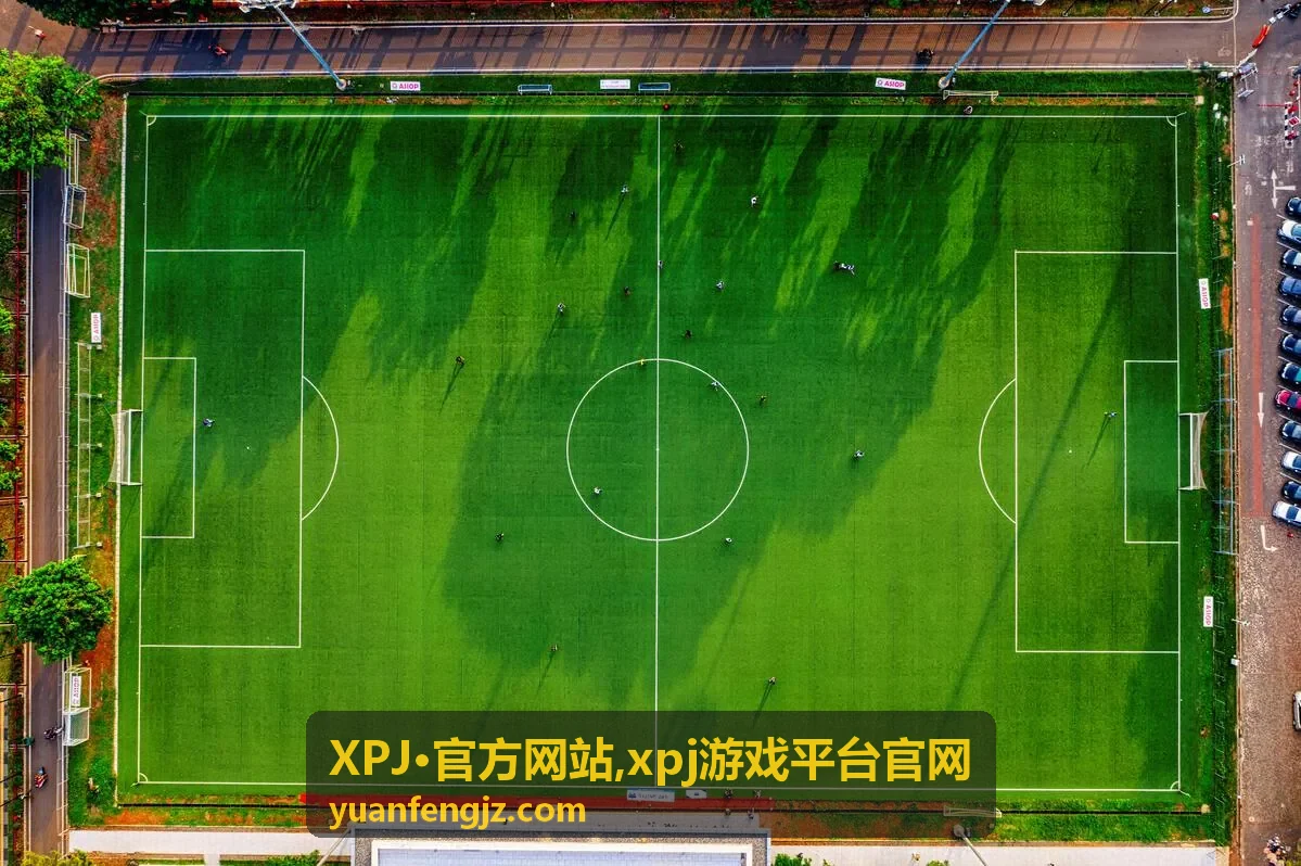 XPJ·官方网站平台指南封面图