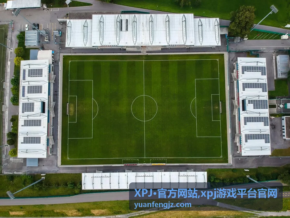 XPJ·官方网站公告资讯封面图